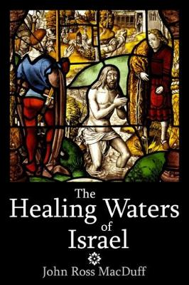 Book cover for The Healing Waters of Israel