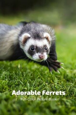 Cover of Adorable Ferrets Full-Color Picture Book