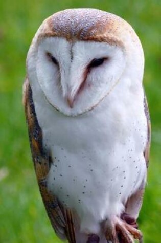 Cover of Beautiful Raptor Barn Owl Journal