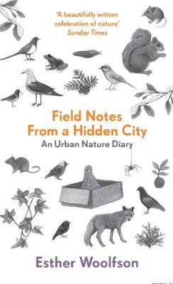 Book cover for Field Notes From a Hidden City