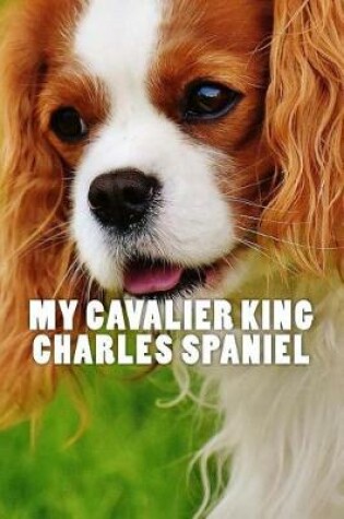 Cover of My Cavalier King Charles Spaniel (Journal / Notebook)