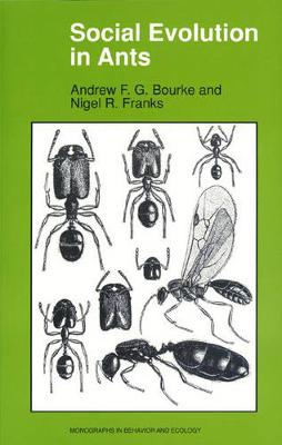 Cover of Social Evolution in Ants