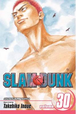 Cover of Slam Dunk, Vol. 30
