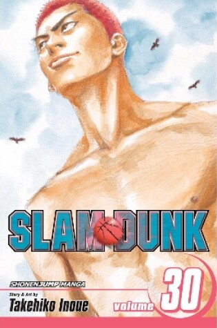 Cover of Slam Dunk, Vol. 30