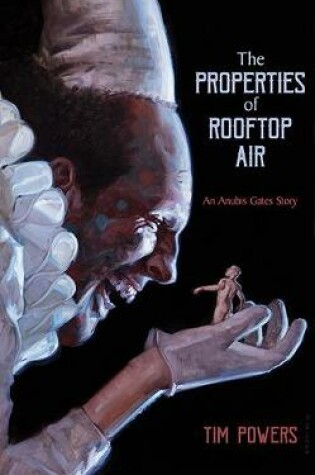 Cover of The Properties of Rooftop Air