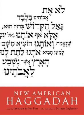 Book cover for New American Haggadah