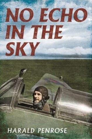 Cover of No Echo in the Sky