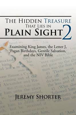 Book cover for The Hidden Treasure That Lies in Plain Sight 2