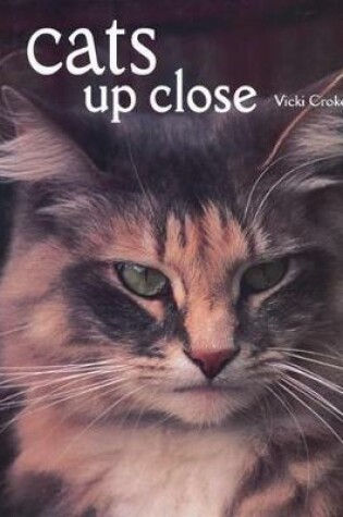 Cover of Cats Up Close