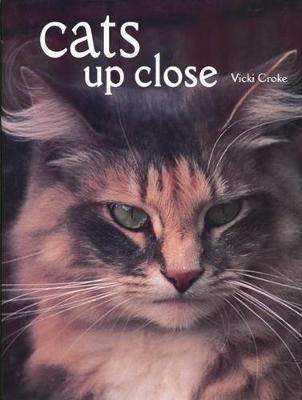 Cover of Cats Up Close