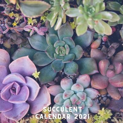 Book cover for Succulent Calendar 2021