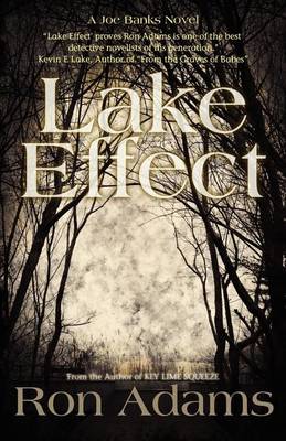 Book cover for Lake Effect