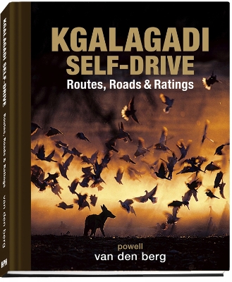 Book cover for Kgalagadi Self-Drive