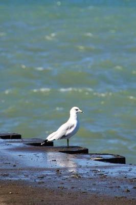 Book cover for Seagull's Perch - Lined Notebook with Margins