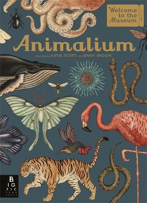 Cover of Animalium