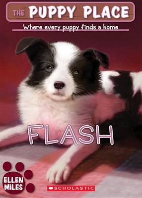 Book cover for The Puppy Place #6