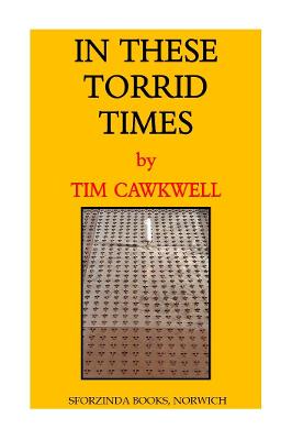 Book cover for In These Torrid Times