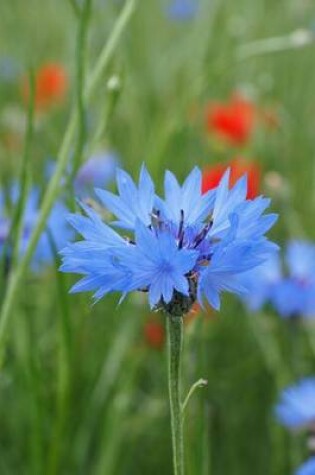 Cover of Blue Cornflower in a Field, for the Love of Flowers