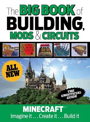 Book cover for The Big Book of Building, Mods & Circuits