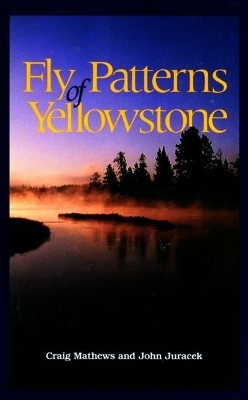 Book cover for Practical Salt Water Fly Fishing