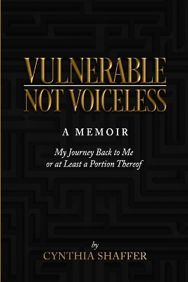 Book cover for Vulnerable, Not Voiceless