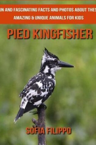 Cover of Pied Kingfisher