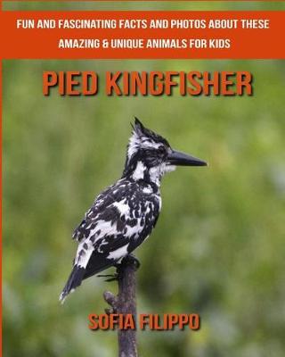 Book cover for Pied Kingfisher