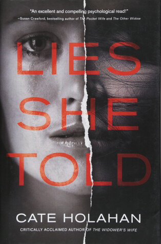 Book cover for Lies She Told