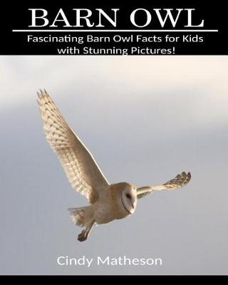 Book cover for Barn Owl