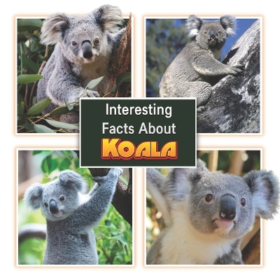 Book cover for Interesting Facts About Koala