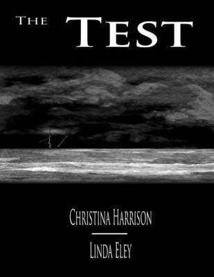 Book cover for The Test