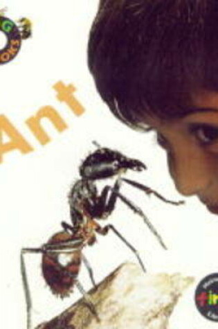 Cover of Bug Books: Ant