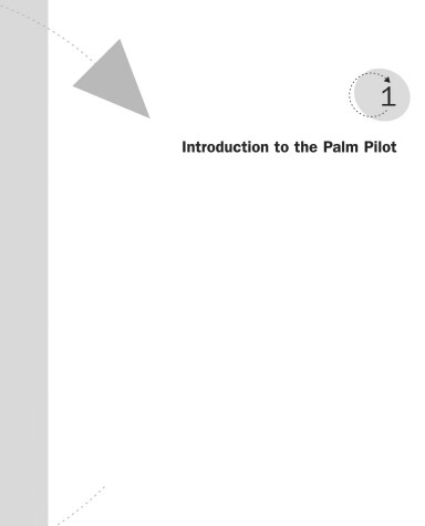 Book cover for Palm Development