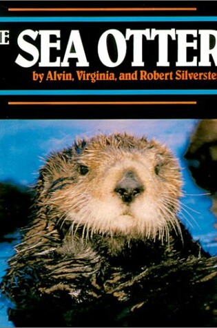 Cover of The Sea Otter
