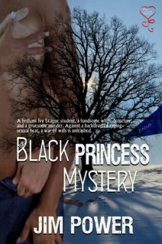 Cover of The Black Princess Mystery