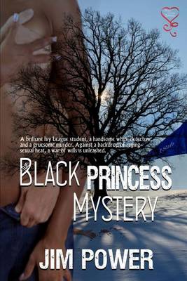 Book cover for The Black Princess Mystery