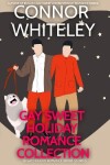 Book cover for Gay Holiday Romance Short Story Collection