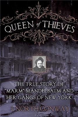 Book cover for Queen of Thieves