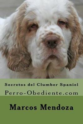 Book cover for Secretos del Clumber Spaniel