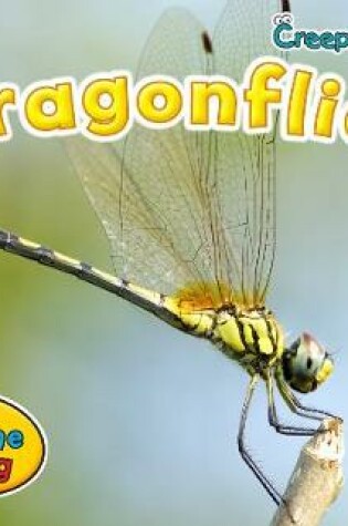 Cover of Dragonflies