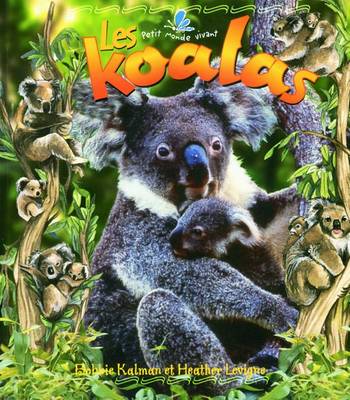 Book cover for Les Koalas