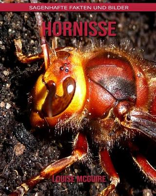 Book cover for Hornisse