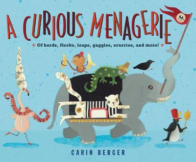 Book cover for A Curious Menagerie