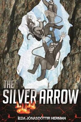 Book cover for The Silver Arrow Illustrated