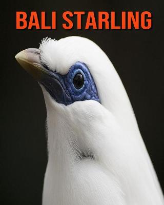 Book cover for Bali Starling