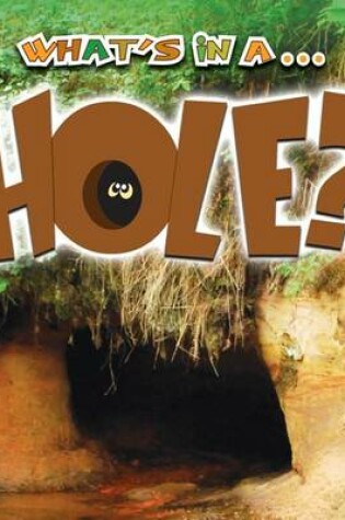 Cover of Hole?