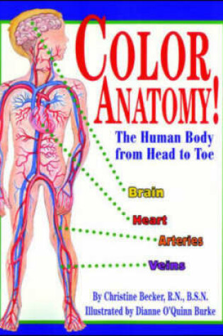Cover of Color Anatomy! Soft