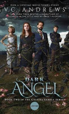 Book cover for Dark Angel