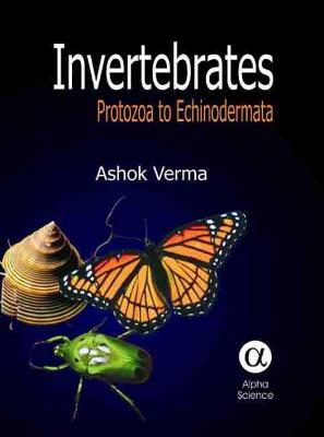 Book cover for Invertebrates