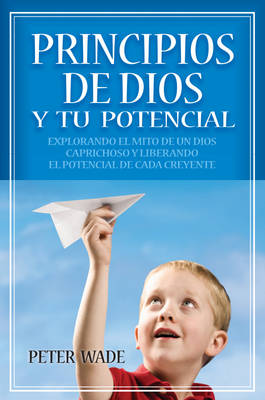 Book cover for Principios De Dios Y Tu Potencial